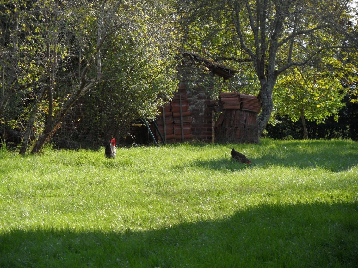 Bed and Breakfast U Campana Auros Zewnętrze zdjęcie